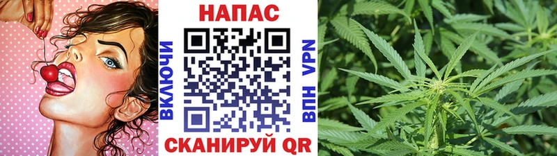 Бошки Шишки конопля  Бородино 